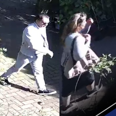Babbeltruc en diefstal – Anninksweg – Hengelo