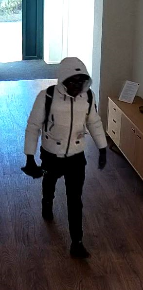 Diefstal uit bedrijf – Leeuwenbrug – Deventer