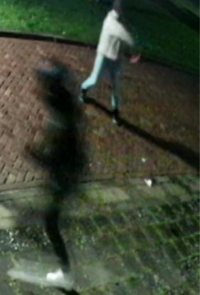 Vernieling woning - Visseringlaan - Emmeloord