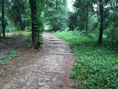 Straatroof – Fuikvaartweg – Haarlem