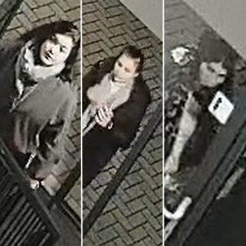 Woninginbraak – Groen van Prinstererlaan – Barneveld