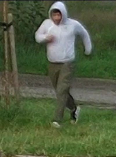Diefstal kentekenplaten – Holterweg – Markelo