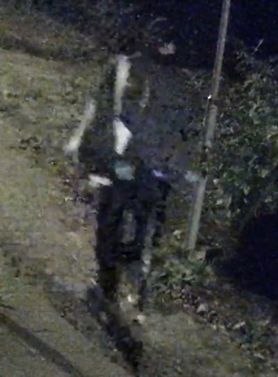 Meerdere brandstichtingen - De Haag - Houten