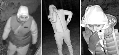 Inbraak woning (poging) - De Slenk - Gemert