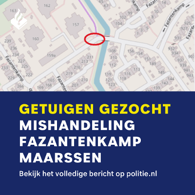 Mishandeling - Fazantenkamp - Maarssen