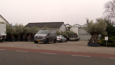 Bedreiging met geweld - Lange Kruisweg - Maasdijk