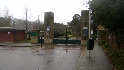 Grafschennis - Wijndaelersingel - Den Haag
