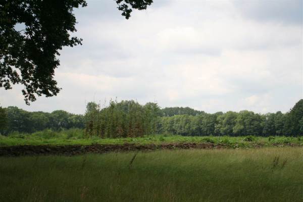 Bouwgrond Emelaarseweg 7nabij Achterveld