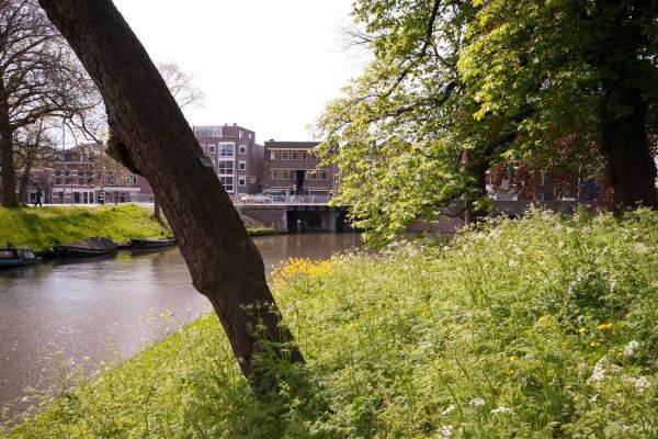 Woning Tolsteegsingel 51bis a Utrecht