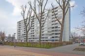 Woning Plein 1953156 Rotterdam