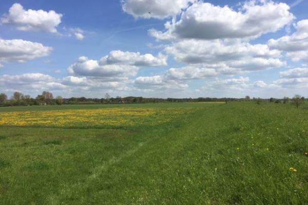 Bouwgrond se Enkweg Gorssel