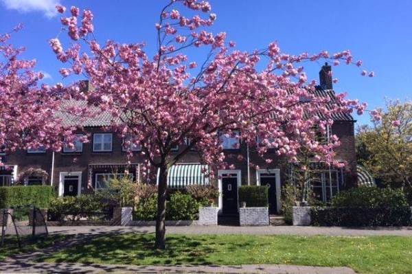 Woning Hofdijck 55 Oegstgeest