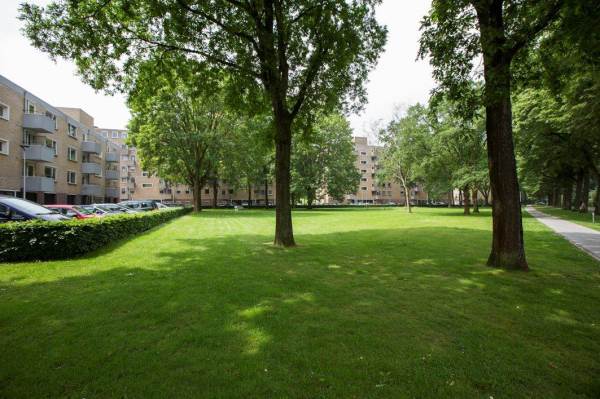 Woning Friezenlaan 138 Tilburg