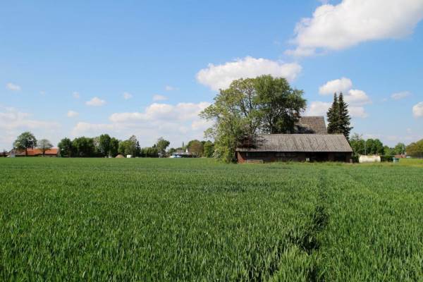 Woning Houtbroek 3 Stramproy