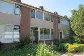 Woning Dwerggras 4 Rotterdam