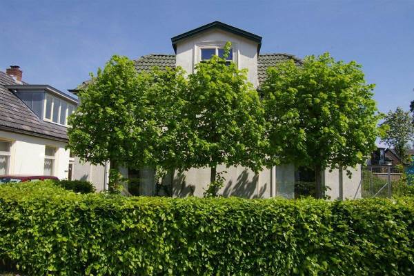 Woning Piet Joubertstraat 36 Apeldoorn