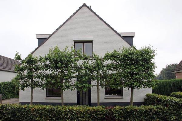 Woning Palsstraat 45 Millingen aan de Rijn