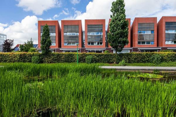 Woning Citroenvlinder 11 Sneek