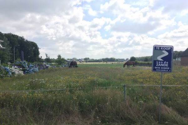 Bouwgrond Canadeseweg 5b Waspik