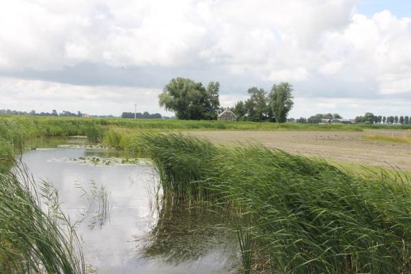 Woning Skrins 7 Easterlittens