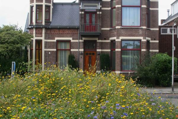Woning Harlingersingel 7 Leeuwarden