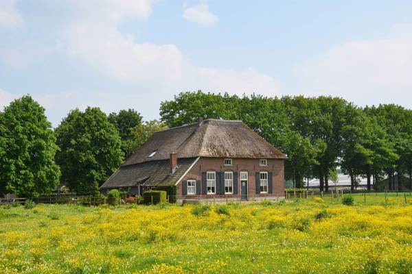 Woning Schiphorsterstraat 1. Toldijk