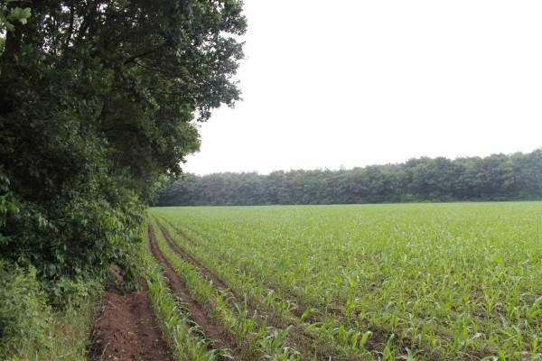 Bouwgrond Kootwijkerdijk 20nabij* Kootwijkerbroek
