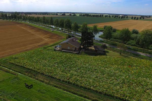 Woning Sasseweg 1 Strijen