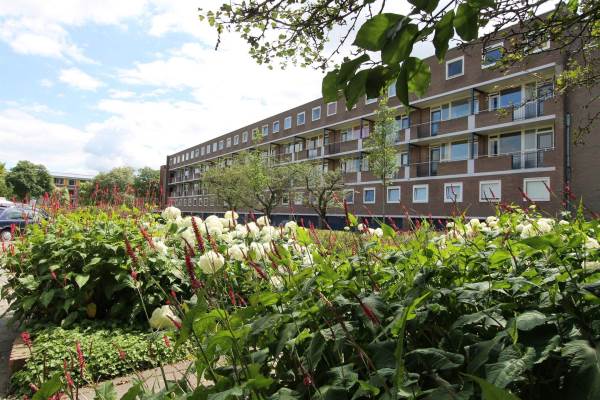Woning Schepenenstraat 79 Nijmegen