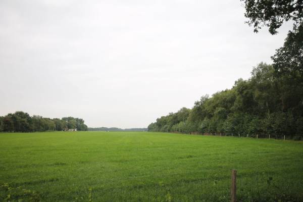 Bouwgrond Bargerweg 31a Weiteveen