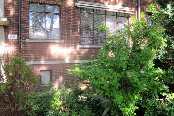 Woning Daniël Catterwijckstr 11 Rijswijk