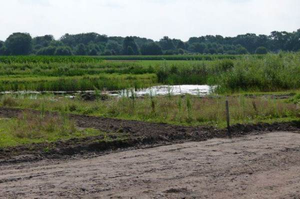 Bouwgrond Zandweteringpad 6I Olst