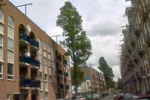 Woning Madurastraat 9A Amsterdam