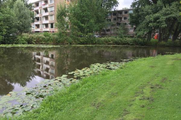Woning Beethovenstraat 1291 Amsterdam