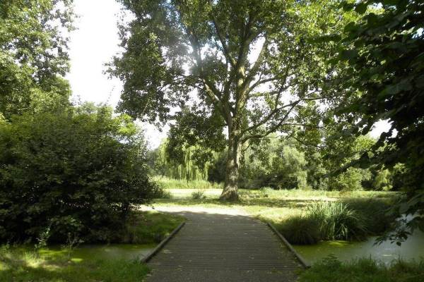 Bouwgrond Gaddijk 15 Spijkenisse