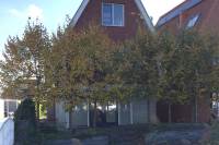 Woning Burgemeester Hummelsingel 4 Valkenburg Zh