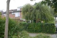 Woning Binnenkruier 39 Puttershoek