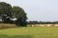 Bouwgrond Milschot De Mortel