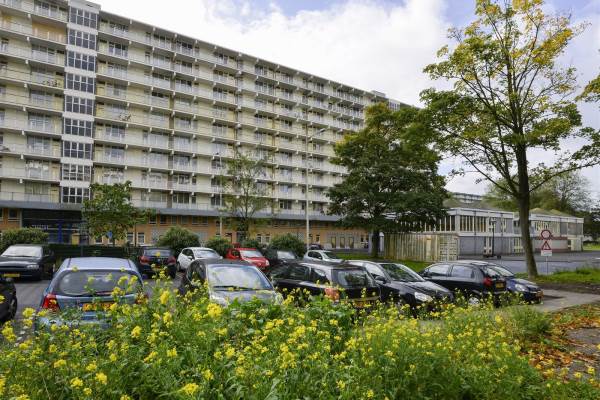 Woning Hofgeest 98 Amsterdam