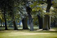 Bouwgrond Brederodelaan 54 Bloemendaal