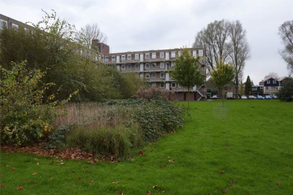 Woning Fluitekruidweg 150 Zaandam