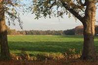 Woning Noordereinde 241 's-Graveland