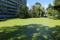 Woning Condorhorst 98 Leiden