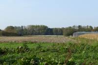 Bouwgrond Blindeweg Rockanje