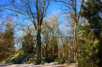 Bouwgrond Vlasrootlaan 32 Waalre