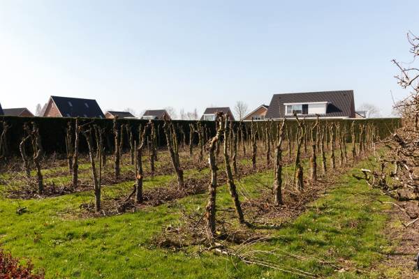 Bouwgrond Walgtsestraat 12a Varik
