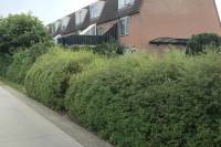 Woning Trekker 184 Heerenveen