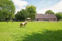 Woning Oostopgaande 45 Nieuwlande