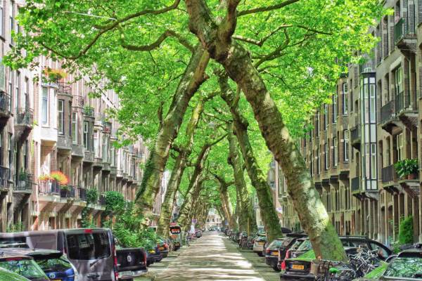 Woning Lomanstraat 4-hs+I Amsterdam