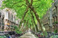 Woning Lomanstraat 4-hs+I Amsterdam